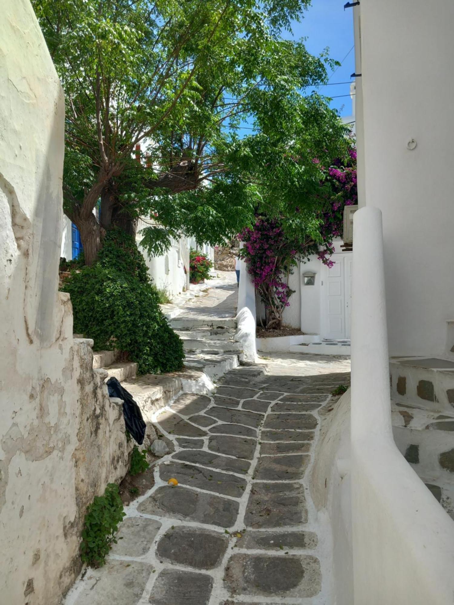 Alex Oldtown Sea View And Appartments Guest house Mykonos Town