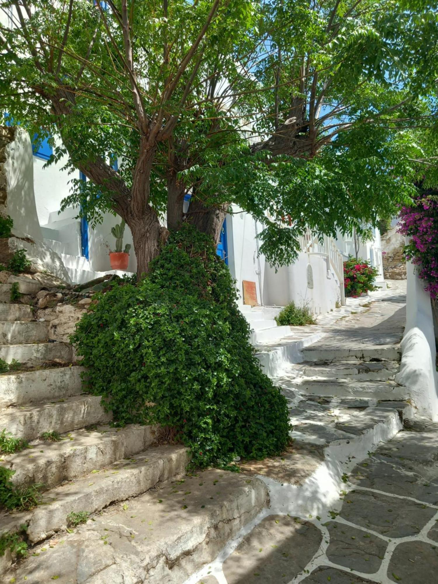 Alex Oldtown Sea View And Appartments * Mykonos Town