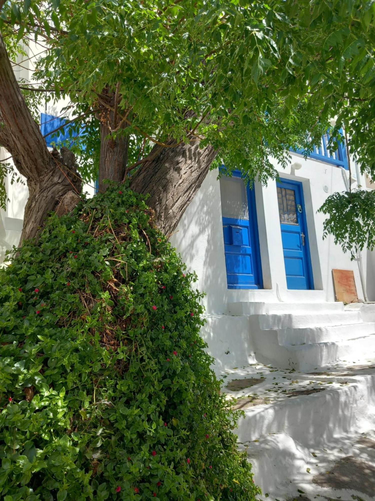Alex Oldtown Sea View And Appartments Mykonos Town