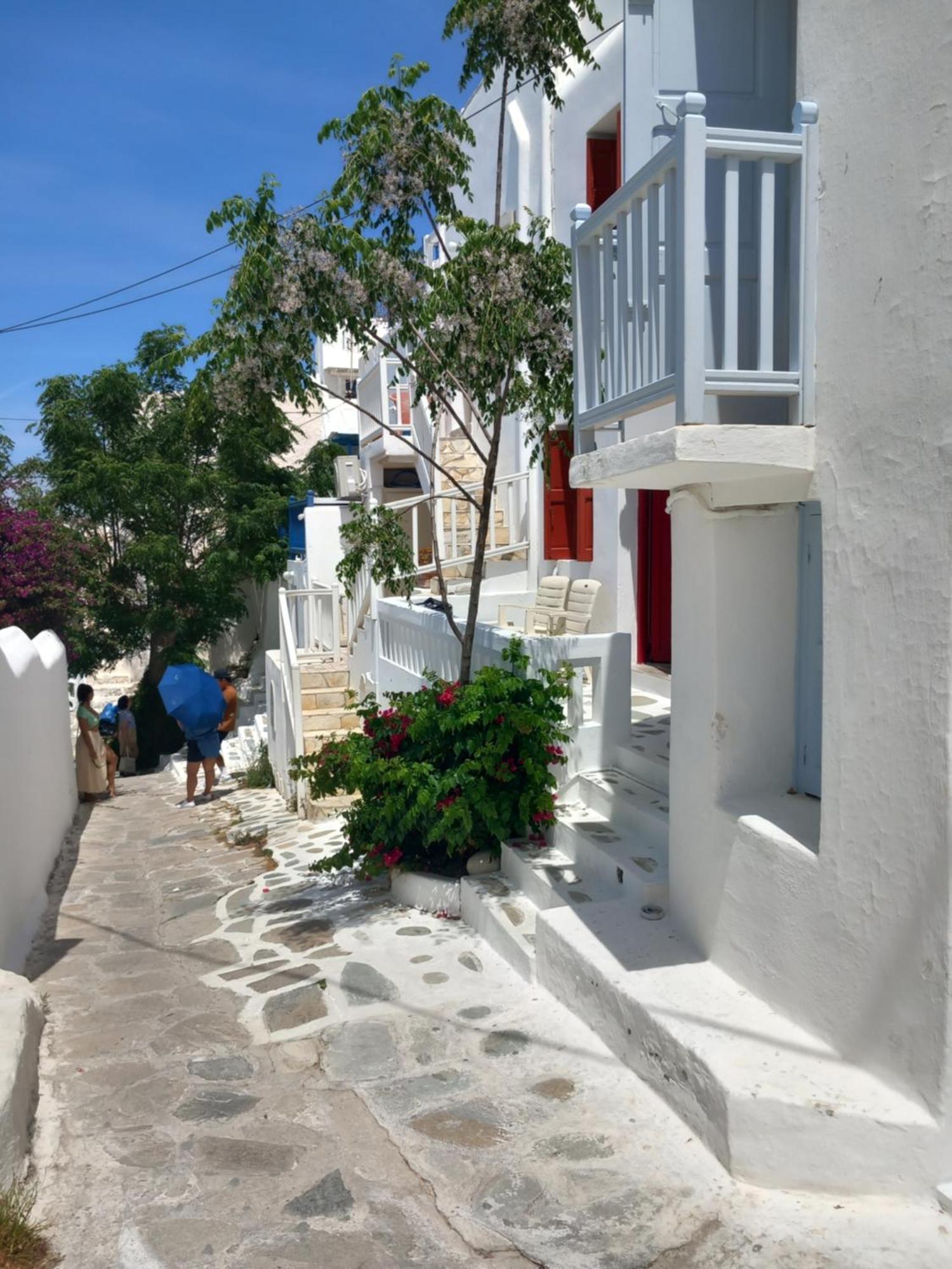 Alex Oldtown Sea View And Appartments Mykonos Town